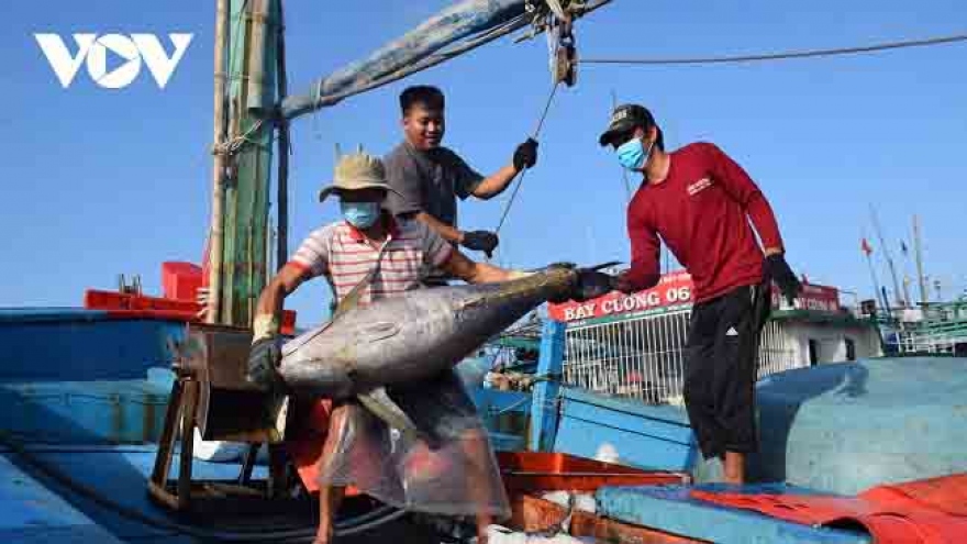 EC inspectors arrive in Vietnam to examine IUU fishing combat efforts